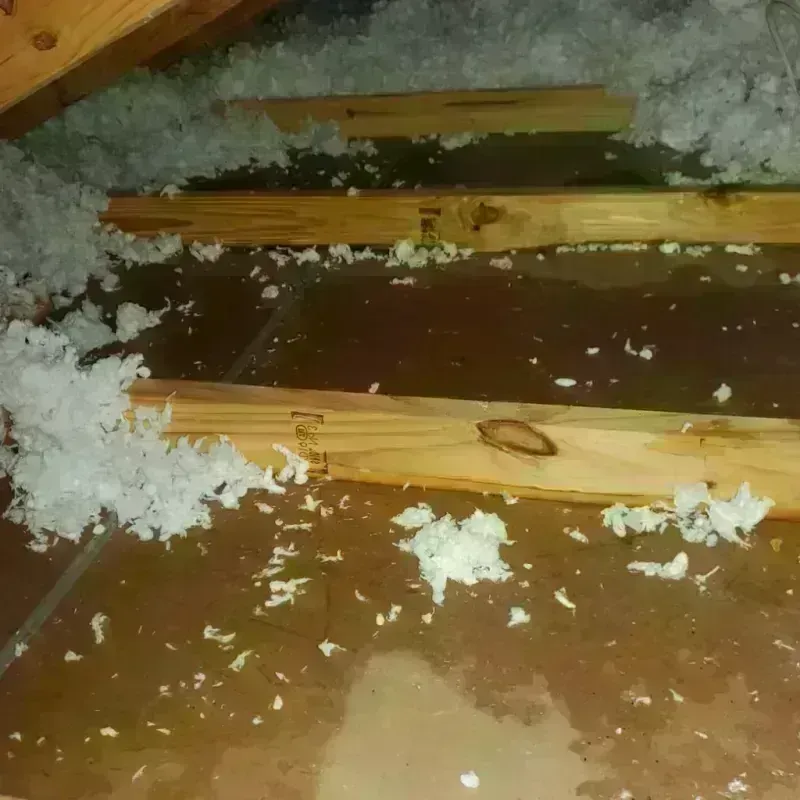 Attic Water Damage in Butler County, AL